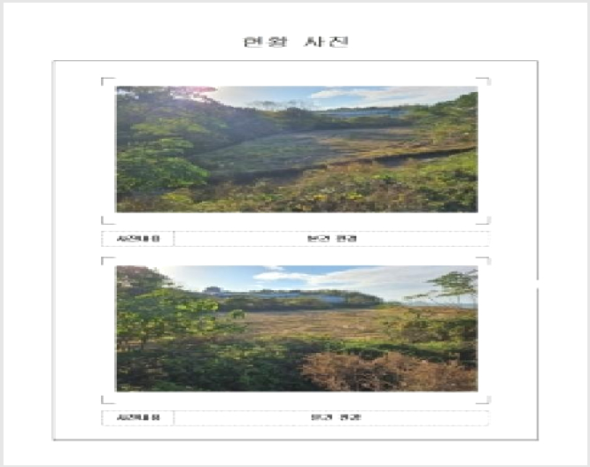 ÅäÁö(´ä) »çÁø1 | ½Å¾È±º ¾ÐÇØÀ¾ Àå°¨¸® | 2025Ÿ°æ51614 | ÅäÁö(´ä)°æ¸Å