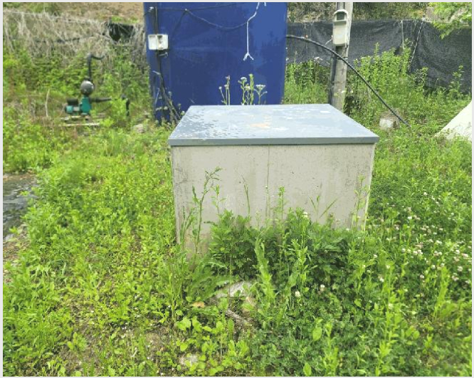 ÅäÁö(Àü) »çÁø1 | ¿µ¿ù±º ¿µ¿ùÀ¾ Èï¿ù¸® | 2025Ÿ°æ30433 | ÅäÁö(Àü)°æ¸Å