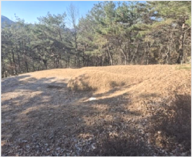 ÅäÁö(ÀÓ¾ß) »çÁø1 | ȼø±º À̼¸é º¸¿ù¸® | 2026Ÿ°æ352 | ÅäÁö(ÀÓ¾ß)°æ¸Å