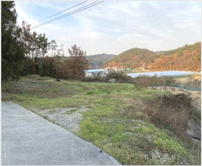 ÅäÁö(ÀÓ¾ß) »çÁø1 | ¿µÃµ½Ã °í°æ¸é Çи® | 2024Ÿ°æ10334 | ÅäÁö(ÀÓ¾ß)°æ¸Å