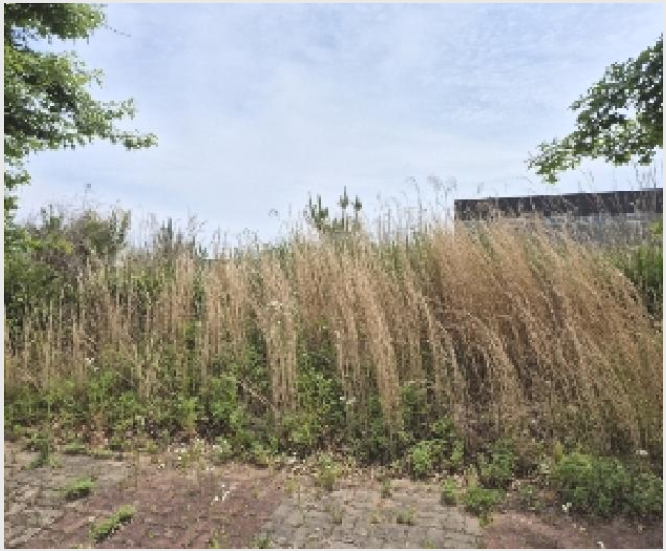 ÅäÁö(°øÀå¿ëÁö) »çÁø1 | ³ªÁֽà ¿Õ°î¸é ´ö»ê¸® | 2025Ÿ°æ3744 | ÅäÁö(°øÀå¿ëÁö)°æ¸Å