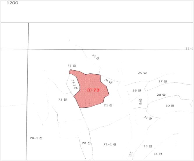 ÅäÁö(Àü) »çÁø1 | ȼø±º µ¿¸é º¹¾Ï¸® | 2025Ÿ°æ33523 | ÅäÁö(Àü)°æ¸Å