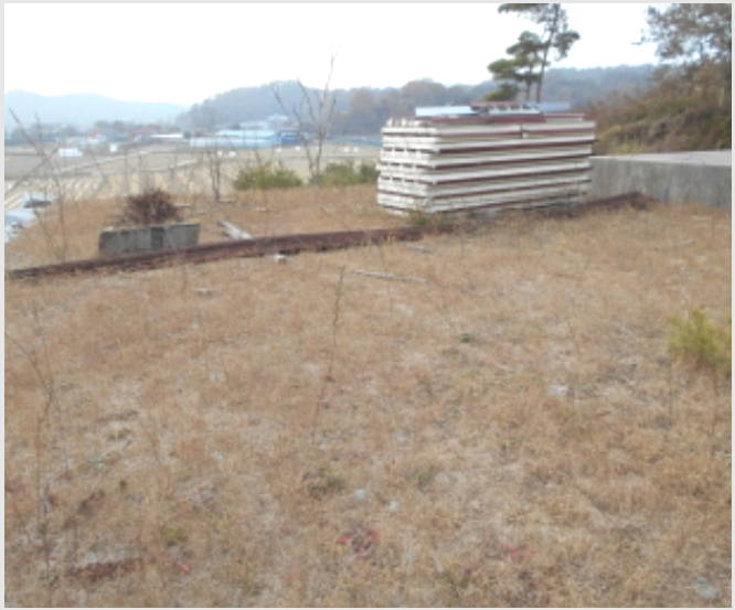 ÅäÁö(ÀÓ¾ß) »çÁø1 | À屺¸é ´ë±³¸® 113-4 | 2022Ÿ°æ110988 | ÅäÁö(ÀÓ¾ß)°æ¸Å