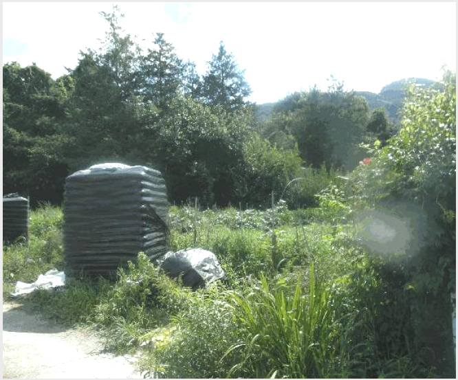 ÅäÁö(Àü) »çÁø1 | ³í»ê½Ã ¿¬»ê¸é ½Å¾ç¸® | 2025Ÿ°æ20461 | ÅäÁö(Àü)°æ¸Å