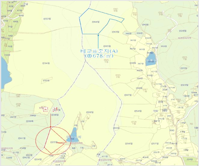 ÅäÁö(ÀÓ¾ß) »çÁø1 | ¿µÃµ½Ã ´ëâ¸é ¾î¹æ¸® | 2025Ÿ°æ8360 | ÅäÁö(ÀÓ¾ß)°æ¸Å