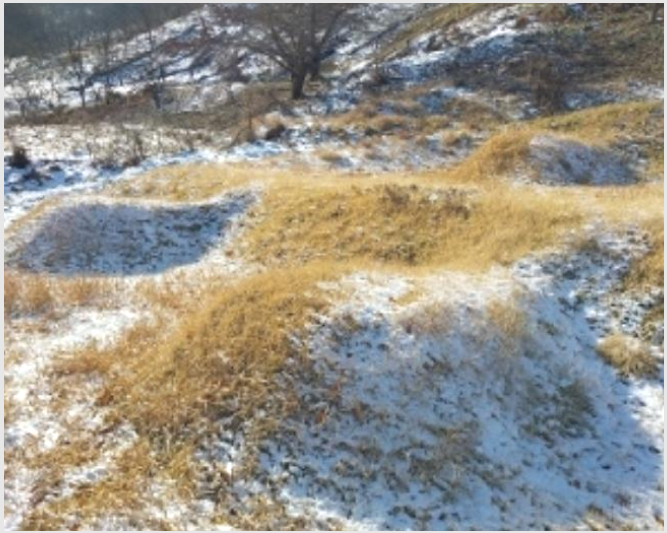 ÅäÁö(Àü) »çÁø1 | û¾ç±º Á¤»ê¸é ³²Ãµ¸® | 2024Ÿ°æ22360 | ÅäÁö(Àü)°æ¸Å