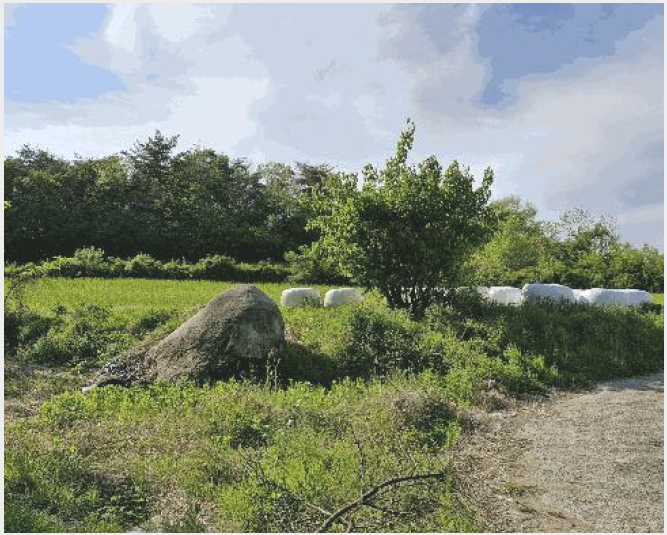 ÅäÁö(Àü) »çÁø1 | °æÁֽà ¿Üµ¿À¾ ³Ãõ¸® | 2025Ÿ°æ383 | ÅäÁö(Àü)°æ¸Å