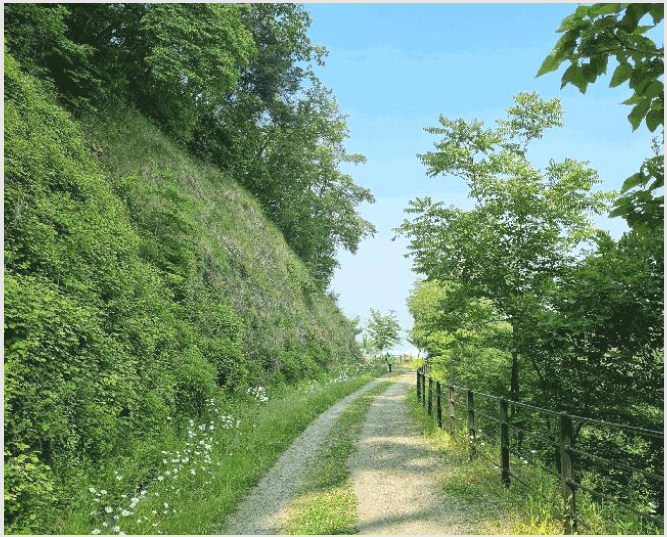 ÅäÁö(ÀÓ¾ß) »çÁø1 | µ¿±¸ »ïÁ¤µ¿ »ê40-1 | 2025Ÿ°æ502514 | ÅäÁö(ÀÓ¾ß)°æ¸Å