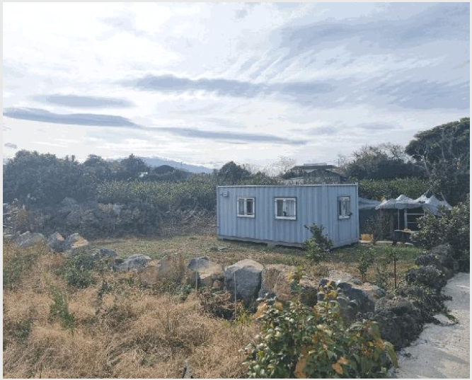ÅäÁö(Àü) »çÁø1 | Á¦Áֽà Á¶ÃµÀ¾ ½ÅÈ︮ | 2025Ÿ°æ1988 | ÅäÁö(Àü)°æ¸Å
