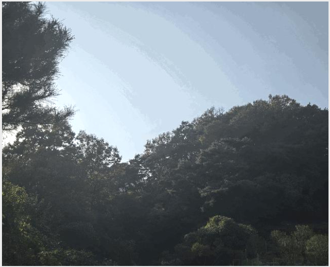 ÅäÁö(ÀÓ¾ß) »çÁø1 | °í·É±º °³Áø¸é ¿À»ç¸® | 2025Ÿ°æ31983 | ÅäÁö(ÀÓ¾ß)°æ¸Å