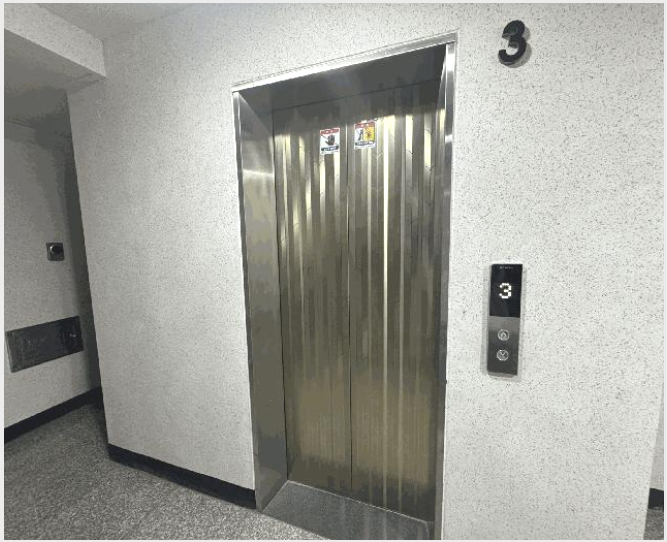 ´Ù¼¼´ë,ºô¶ó »çÁø1 | °¼±¸ Ȱ 870-60 | 2025Ÿ°æ10790 | ´Ù¼¼´ë,ºô¶ó°æ¸Å