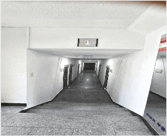 ´Ù°¡±¸ÁÖÅà »çÁø1 | °³²±¸ û´ãµ¿ 62-10 | 2025Ÿ°æ104068 | ´Ù°¡±¸ÁÖÅðæ¸Å