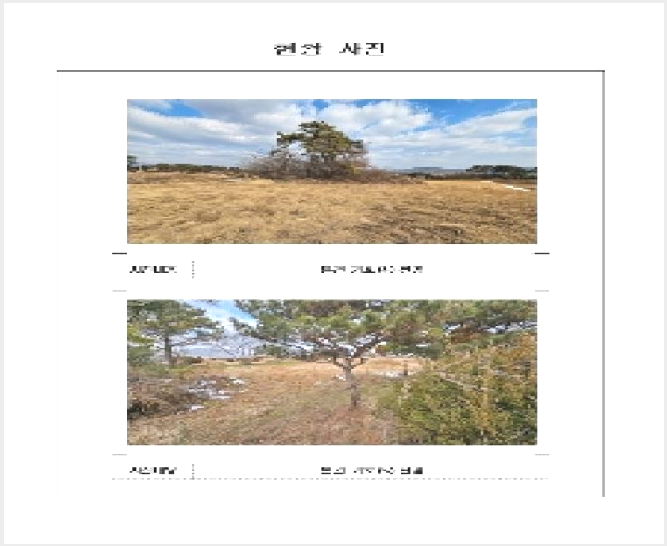 ÅäÁö(Àü) »çÁø1 | ÇÔÆò±º ÇØº¸¸é ±Ý´ö¸® | 2025Ÿ°æ50262 | ÅäÁö(Àü)°æ¸Å