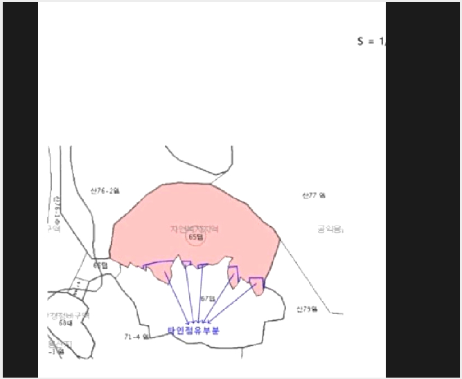 ÅäÁö(´ä) »çÁø1 | ±ÝÁ¤±¸ ¼±µ¿ 65 | 2025Ÿ°æ2339 | ÅäÁö(´ä)°æ¸Å