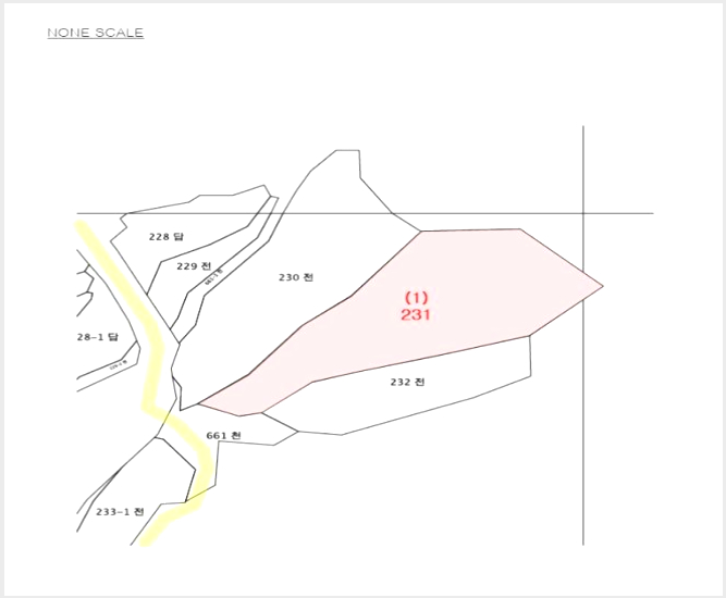 ÅäÁö(Àü) »çÁø1 | ÀÌõ½Ã ¹é»ç¸é Á¶À¾¸® | 2024Ÿ°æ5542 | ÅäÁö(Àü)°æ¸Å