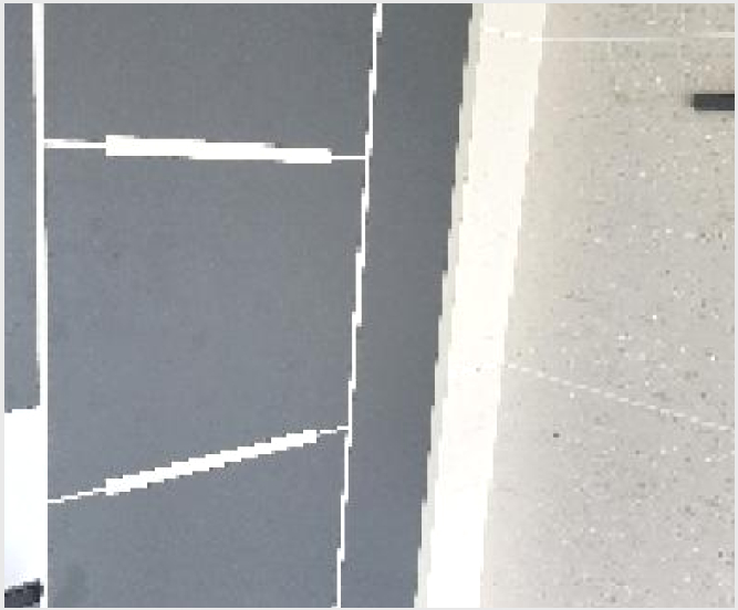 ´Ù¼¼´ë,ºô¶ó »çÁø1 | ÆÄÁֽà źÇö¸é ´ëµ¿¸® | 2025Ÿ°æ63543 | ´Ù¼¼´ë,ºô¶ó°æ¸Å