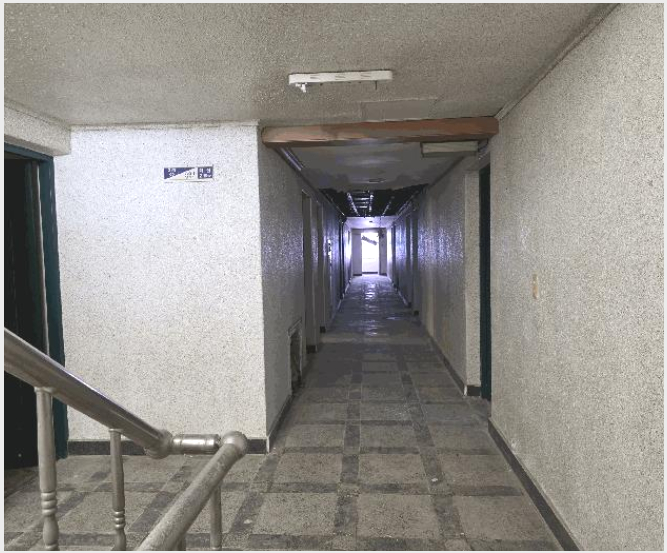 È£ÅÚ¸ðÅÚ »çÁø1 | ¼ÓÃʽà ¼³¾Çµ¿ 51 | 2025Ÿ°æ10363 | È£ÅÚ¸ðÅÚ°æ¸Å