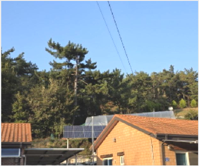 ÅäÁö(ÀÓ¾ß) »çÁø1 | ¼ºÁÖ±º ¼±³²¸é °üȸ® | 2025Ÿ°æ3019 | ÅäÁö(ÀÓ¾ß)°æ¸Å