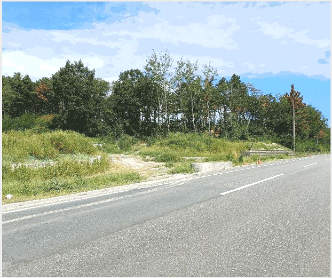 ÅäÁö(ÀÓ¾ß) »çÁø1 | Æ÷Ç׽à ºÏ±¸ ûÇϸé | 2025Ÿ°æ4007 | ÅäÁö(ÀÓ¾ß)°æ¸Å