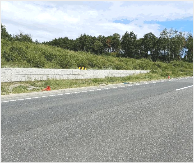 ÅäÁö(ÀÓ¾ß) »çÁø1 | Æ÷Ç׽à ºÏ±¸ ûÇϸé | 2025Ÿ°æ4007 | ÅäÁö(ÀÓ¾ß)°æ¸Å