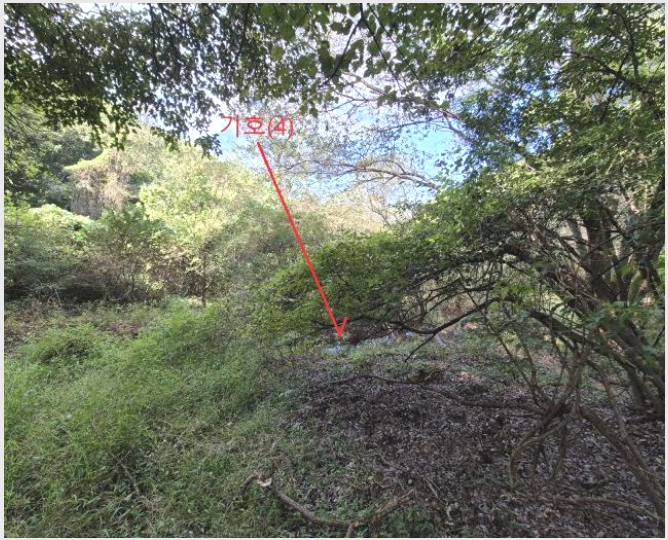 ÅäÁö(ÀÓ¾ß) »çÁø1 | ¾È¼º½Ã »ç°îµ¿ »ê40-1 | 2024Ÿ°æ51999 | ÅäÁö(ÀÓ¾ß)°æ¸Å