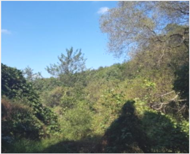 ÅäÁö(ÀÓ¾ß) »çÁø1 | ¾È¼º½Ã »ç°îµ¿ »ê40-1 | 2024Ÿ°æ51999 | ÅäÁö(ÀÓ¾ß)°æ¸Å