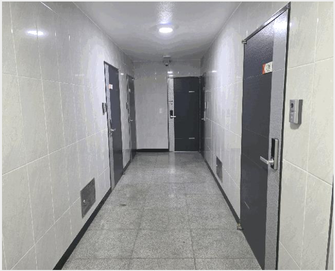 ´Ù°¡±¸ÁÖÅà »çÁø1 | ³²¾çÁֽà ¿À³²À¾ ¾çÁö¸® | 2025Ÿ°æ478 | ´Ù°¡±¸ÁÖÅðæ¸Å
