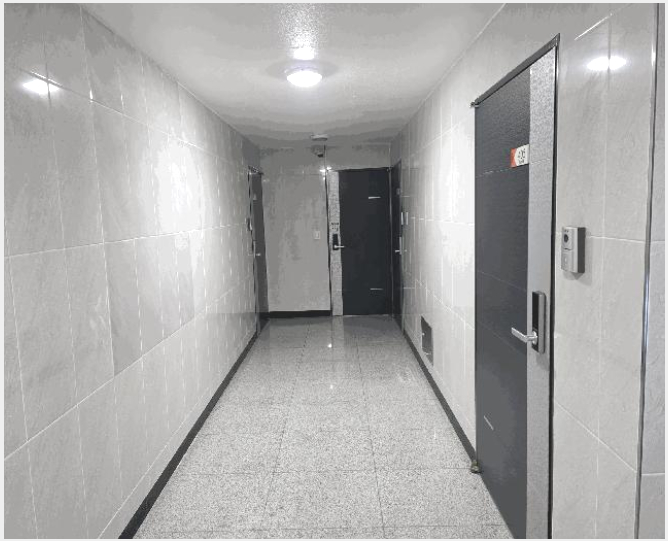´Ù°¡±¸ÁÖÅà »çÁø1 | ³²¾çÁֽà ¿À³²À¾ ¾çÁö¸® | 2025Ÿ°æ478 | ´Ù°¡±¸ÁÖÅðæ¸Å