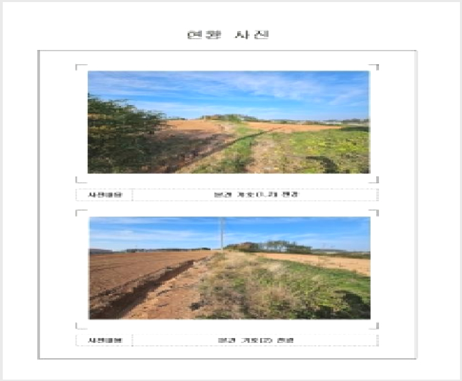 ÅäÁö(µµ·Î) »çÁø1 | ½Å¾È±º ¾ÐÇØÀ¾ µ¿¼¸® | 2025Ÿ°æ51586 | ÅäÁö(µµ·Î)°æ¸Å