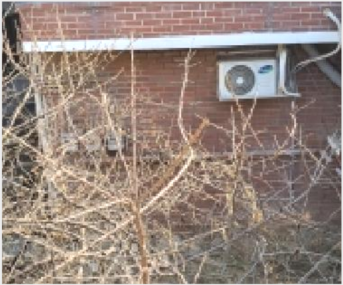ÁÖÅà »çÁø1 | ÆÄÁֽà ¿ù·Õ¸é ¿µÅ¸® | 2026Ÿ°æ726 | ÁÖÅðæ¸Å