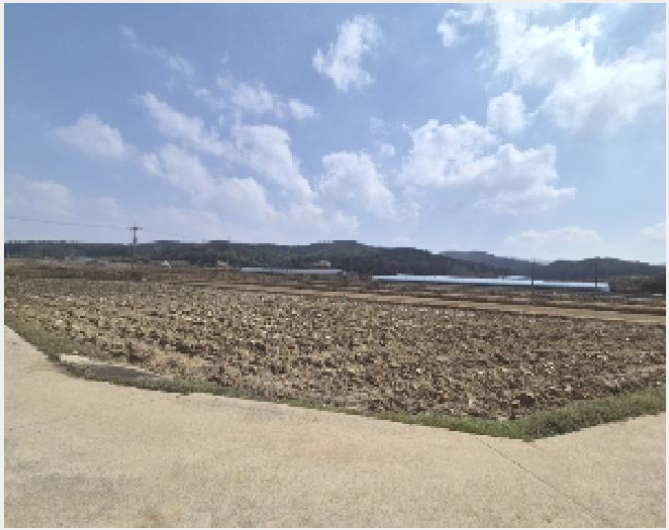 ÅäÁö(Àü) »çÁø1 | ¿µ±¤±º ´ë¸¶¸é ÈÆò¸® | 2025Ÿ°æ1595 | ÅäÁö(Àü)°æ¸Å