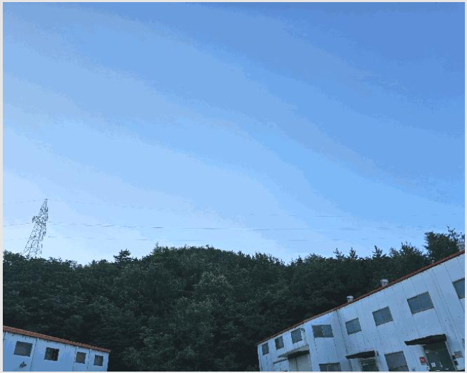 ÅäÁö(ÀÓ¾ß) »çÁø1 | Æ÷Ç׽à ºÏ±¸ ÈïÇØÀ¾ | 2025Ÿ°æ3882 | ÅäÁö(ÀÓ¾ß)°æ¸Å