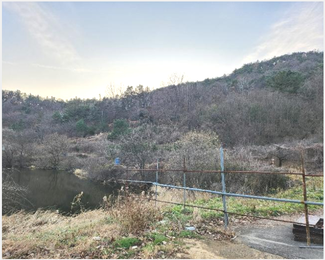 ÅäÁö(ÀÓ¾ß) »çÁø1 | ¿µÃµ½Ã ±ÝÈ£À¾ ±¸¾Ï¸® | 2024Ÿ°æ124011 | ÅäÁö(ÀÓ¾ß)°æ¸Å