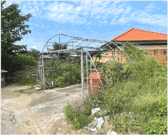 ÅäÁö(´ëÁö) »çÁø1 | â¿ø½Ã ¸¶»êÇÕÆ÷±¸ ÁøÀü¸é | 2025Ÿ°æ20872 | ÅäÁö(´ëÁö)°æ¸Å