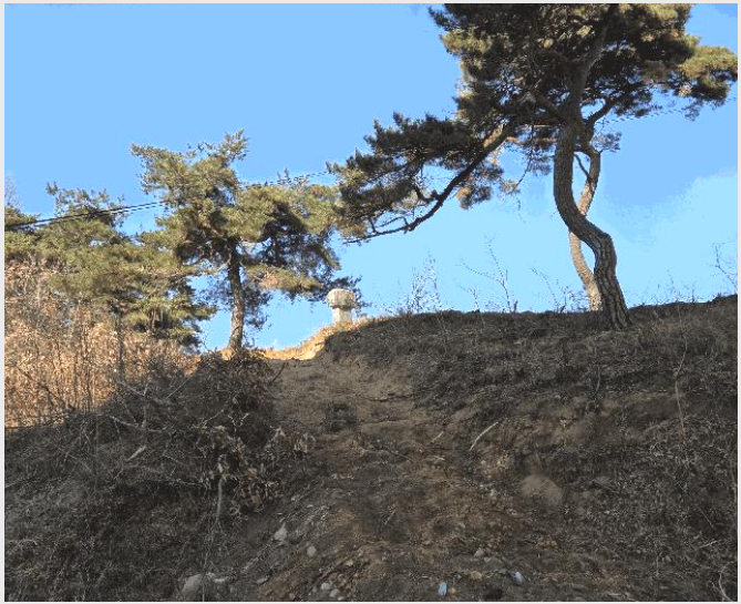 ÅäÁö(ÀÓ¾ß) »çÁø1 | ¾Èµ¿½Ã ¼ÈÄ¸é ±³¸® | 2025Ÿ°æ100553 | ÅäÁö(ÀÓ¾ß)°æ¸Å