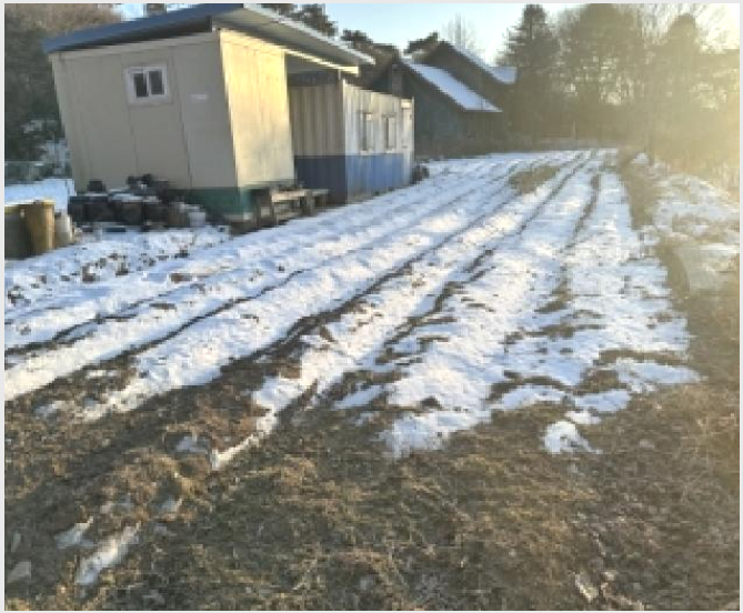 ÅäÁö(´ä) »çÁø1 | ûÁֽà »ó´ç±¸ ¹Ì¿ø¸é | 2026Ÿ°æ50117 | ÅäÁö(´ä)°æ¸Å