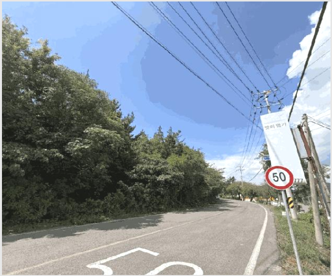 ÅäÁö(´ä) »çÁø1 | ¿µ¾Ï±º »ïÈ£À¾ »ïÆ÷¸® | 2025Ÿ°æ51379 | ÅäÁö(´ä)°æ¸Å