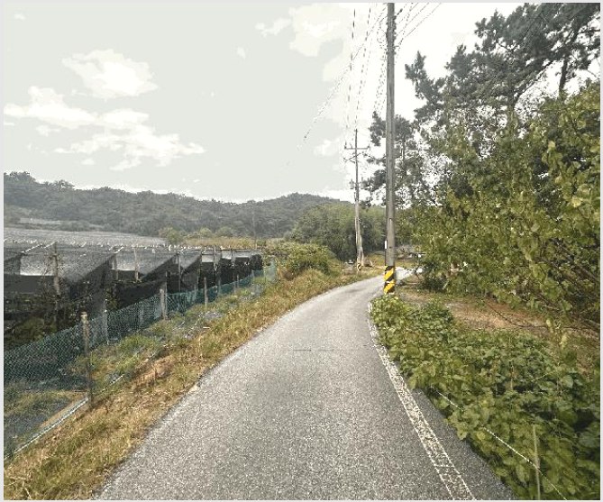 ÅäÁö(ÀÓ¾ß) »çÁø1 | °íⱺ °øÀ½¸é ¼±µ¿¸® | 2025Ÿ°æ30452 | ÅäÁö(ÀÓ¾ß)°æ¸Å