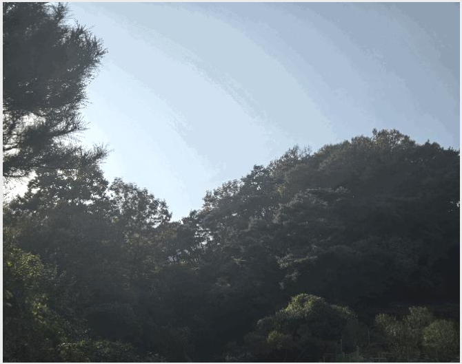 ÅäÁö(ÀÓ¾ß) »çÁø1 | °í·É±º ½Ö¸²¸é ¿ë¸® | 2025Ÿ°æ31983 | ÅäÁö(ÀÓ¾ß)°æ¸Å