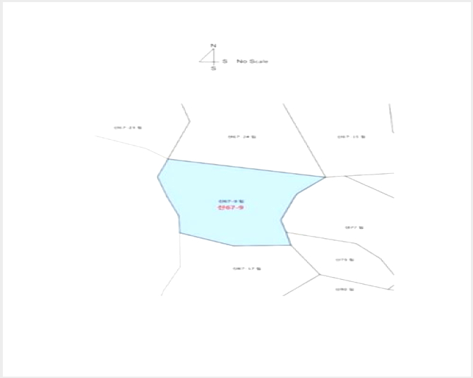 ÅäÁö(ÀÓ¾ß) »çÁø1 | ¿µ±¤±º ¹é¼öÀ¾ ±æ¿ë¸® | 2024Ÿ°æ75049 | ÅäÁö(ÀÓ¾ß)°æ¸Å