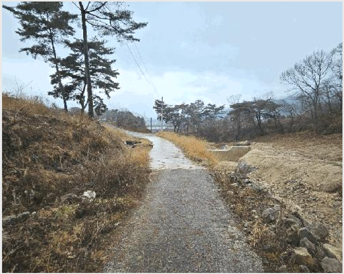 ÅäÁö(°ú¼ö¿ø) »çÁø1 | ´ã¾ç±º °í¼¸é °íÀ¾¸® | 2025Ÿ°æ34260 | ÅäÁö(°ú¼ö¿ø)°æ¸Å