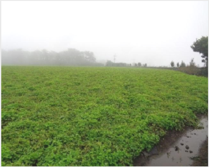 ÅäÁö(ÀÓ¾ß) »çÁø1 | ¼±ÍÆ÷½Ã ¾È´ö¸é »óõ¸® | 2025Ÿ°æ1816 | ÅäÁö(ÀÓ¾ß)°æ¸Å