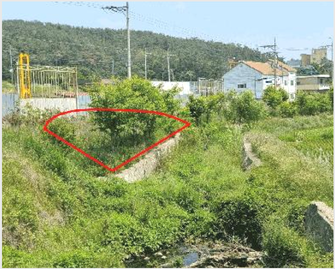 ÅäÁö(´ä) »çÁø1 | ±âÀ屺 Àå¾ÈÀ¾ ¸í·Ê¸® | 2024Ÿ°æ4143 | ÅäÁö(´ä)°æ¸Å