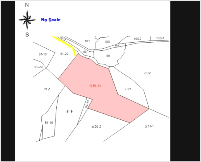 ÅäÁö(ÀÓ¾ß) »çÁø1 | È«¼º±º °¥»ê¸é °¥¿À¸® | 2025Ÿ°æ1084 | ÅäÁö(ÀÓ¾ß)°æ¸Å