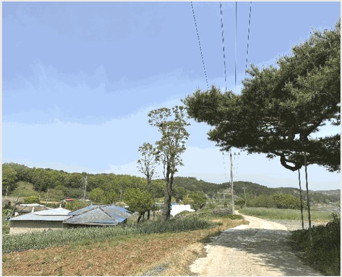 ÅäÁö(ÀÓ¾ß) »çÁø1 | ´çÁø½Ã ´ëÈ£Áö¸é ¸¶Á߸® | 2025Ÿ°æ51215 | ÅäÁö(ÀÓ¾ß)°æ¸Å