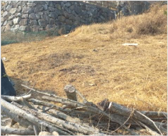ÅäÁö(ÀÓ¾ß) »çÁø1 | °ÅÁ¦½Ã ¾çÁ¤µ¿ »ê86-3 | 2025Ÿ°æ20330 | ÅäÁö(ÀÓ¾ß)°æ¸Å