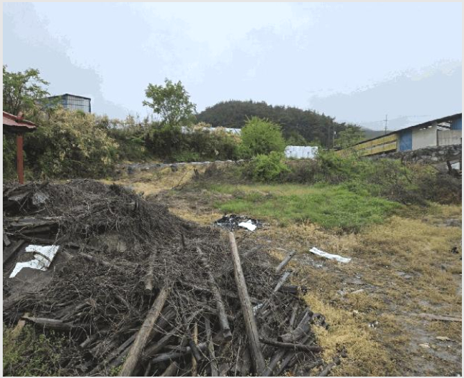 ÅäÁö(Àü) »çÁø1 | ³²¿ø½Ã ¾Æ¿µ¸é ±¸»ó¸® | 2025Ÿ°æ30169 | ÅäÁö(Àü)°æ¸Å