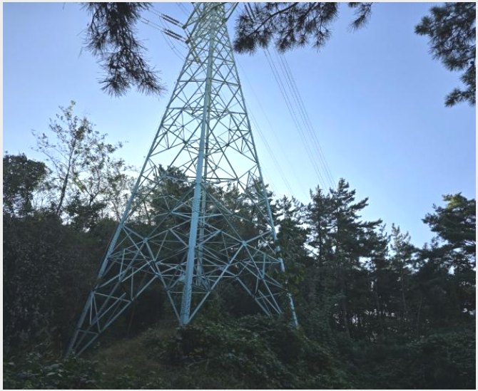 ÅäÁö(ÀÓ¾ß) »çÁø1 | »çõ½Ã ¿ëÇö¸é ¼®°è¸® | 2024Ÿ°æ38201 | ÅäÁö(ÀÓ¾ß)°æ¸Å