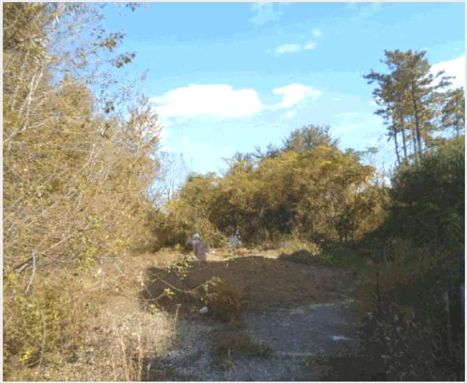ÅäÁö(ÀÓ¾ß) »çÁø1 | ±¤»ê±¸ ºñ¾Æµ¿ »ê103 | 2025Ÿ°æ34163 | ÅäÁö(ÀÓ¾ß)°æ¸Å