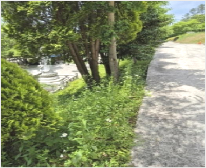 ÅäÁö(ÀÓ¾ß) »çÁø1 | ´ã¾ç±º ´ã¾çÀ¾ Çе¿¸® | 2025Ÿ°æ32867 | ÅäÁö(ÀÓ¾ß)°æ¸Å